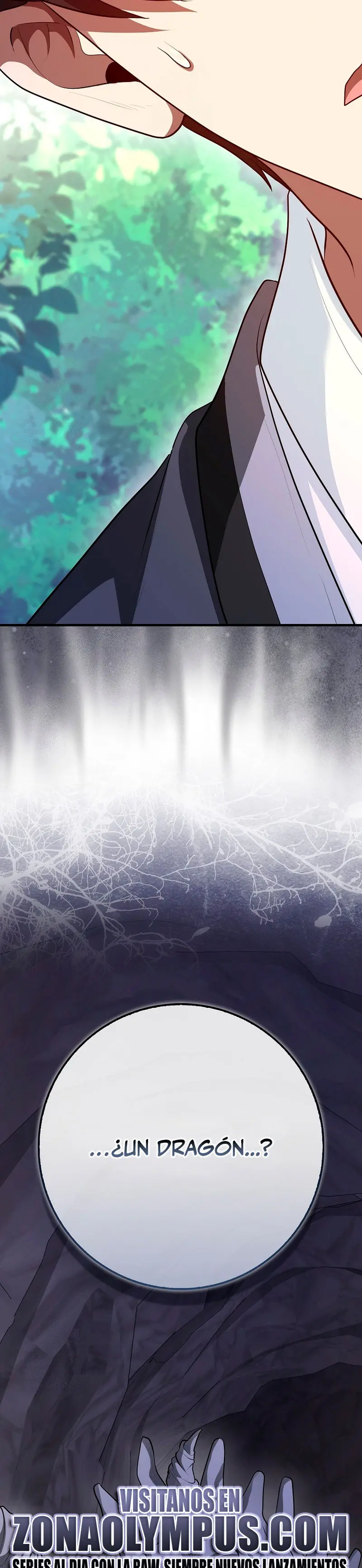 El Regreso Del  Genio De Las Artes Marciales > Capitulo 114 > Page 411