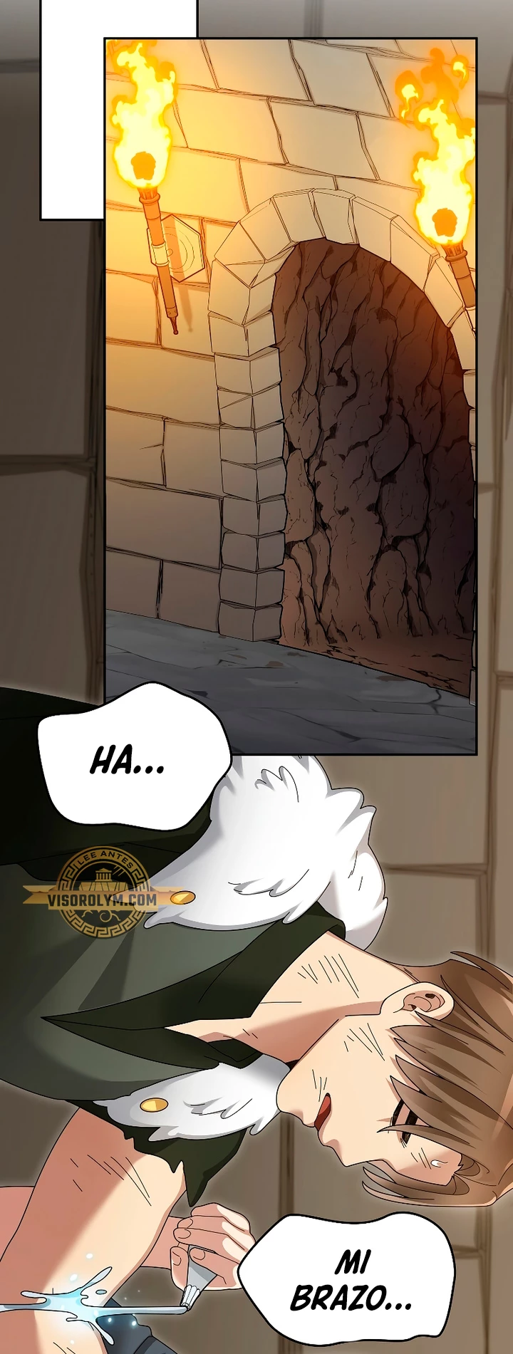 El Novato es Muy Fuerte > Capitulo 91 > Page 481