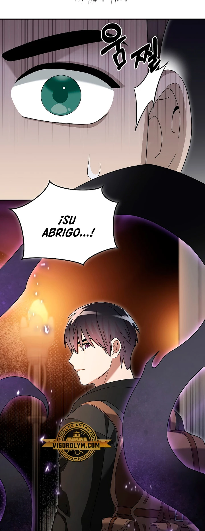 El Novato es Muy Fuerte > Capitulo 92 > Page 411