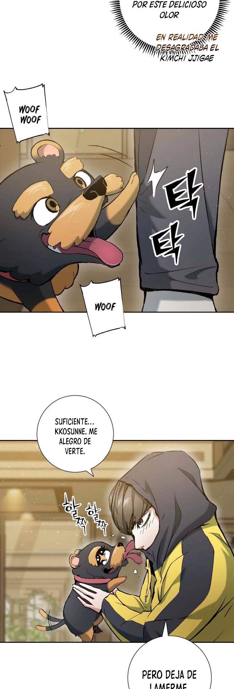 Página 46