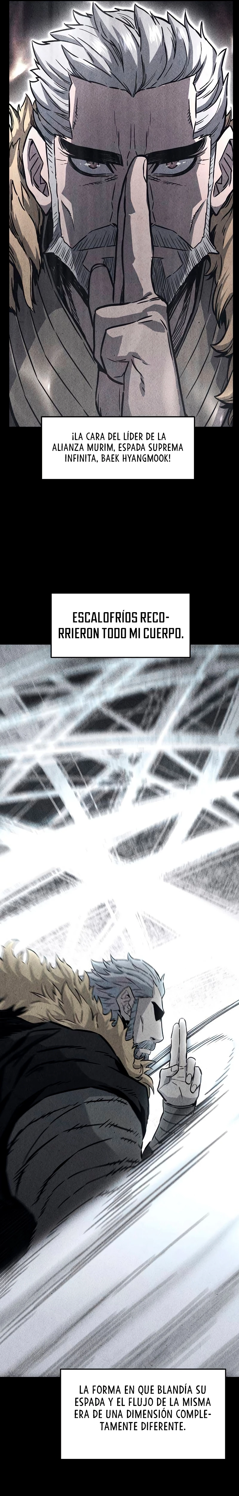 El Sentido Absoluto de las Espadas > Capitulo 71 > Page 161