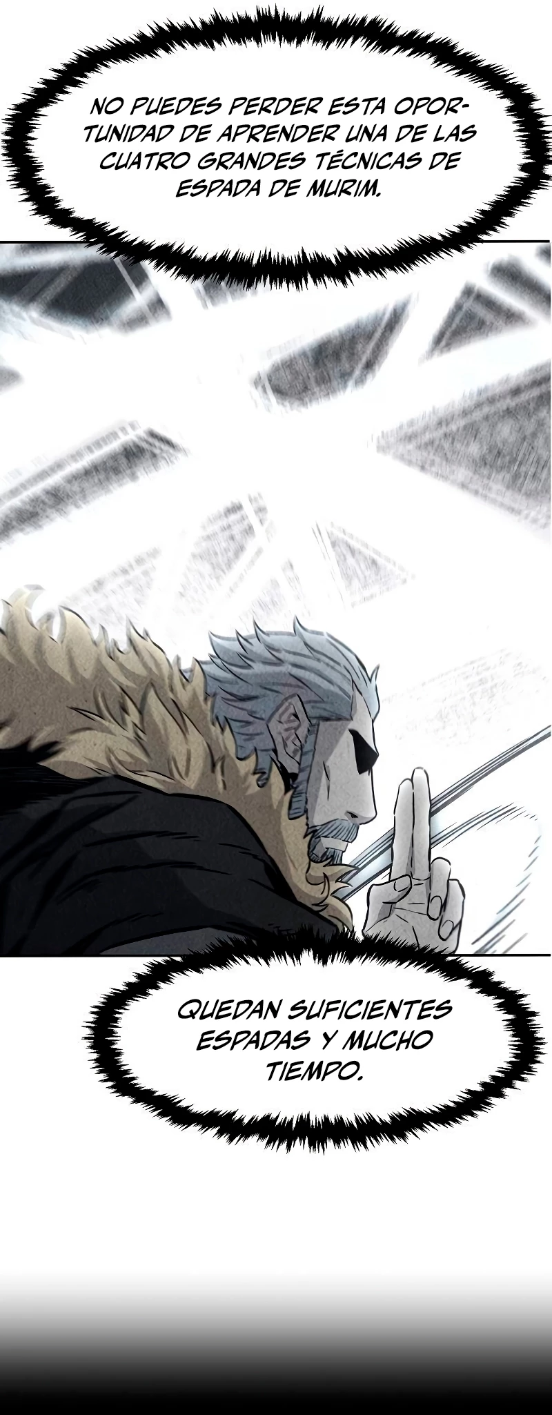 El Sentido Absoluto de las Espadas > Capitulo 71 > Page 301