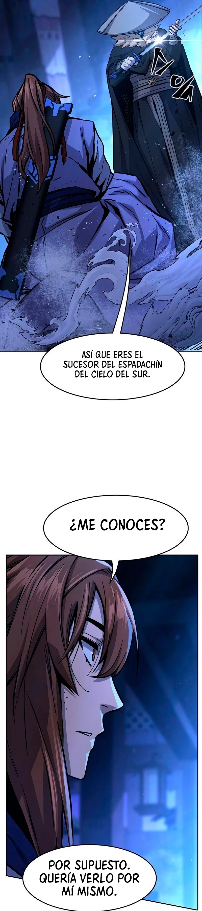 El Sentido Absoluto de las Espadas > Capitulo 78 > Page 161