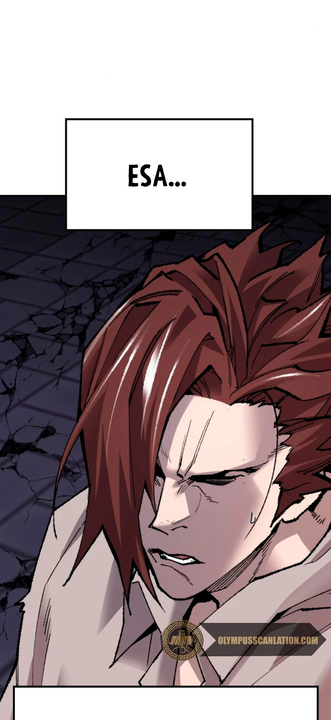 Rompiendo Limites > Capitulo 73 > Page 531