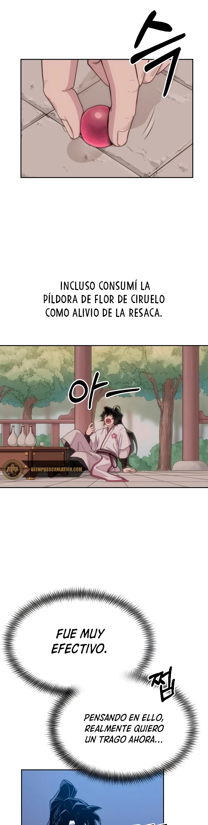 Secta de la montaña > Capitulo 15 > Page 311