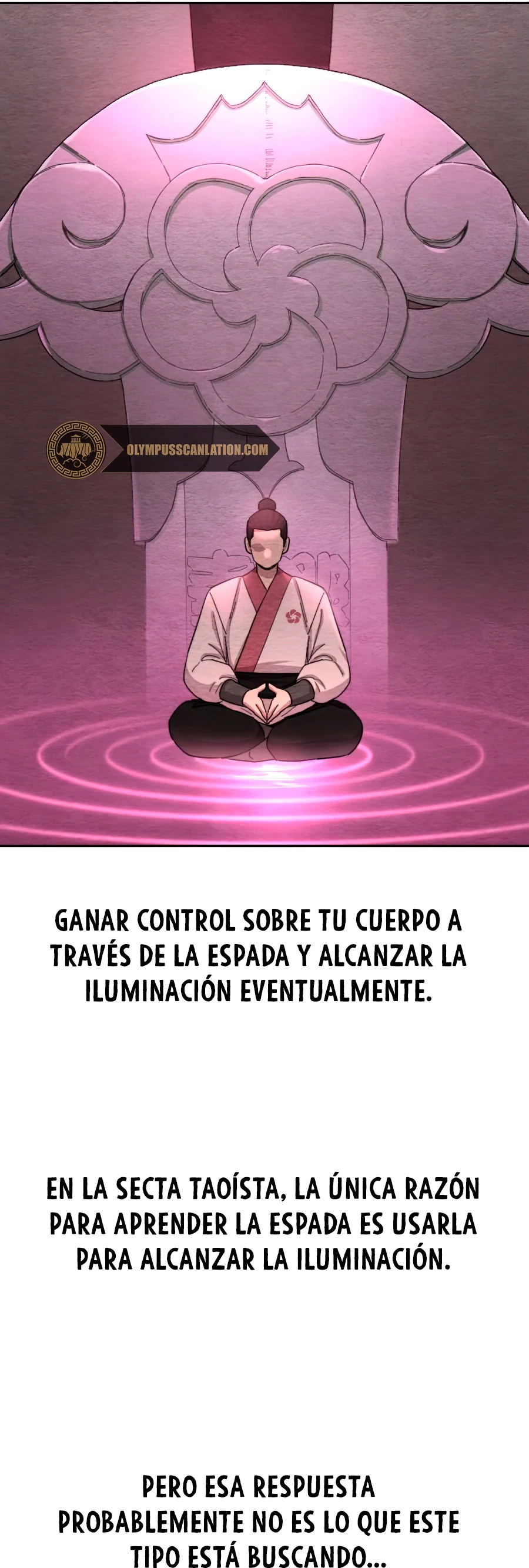 Secta de la montaña > Capitulo 37 > Page 321