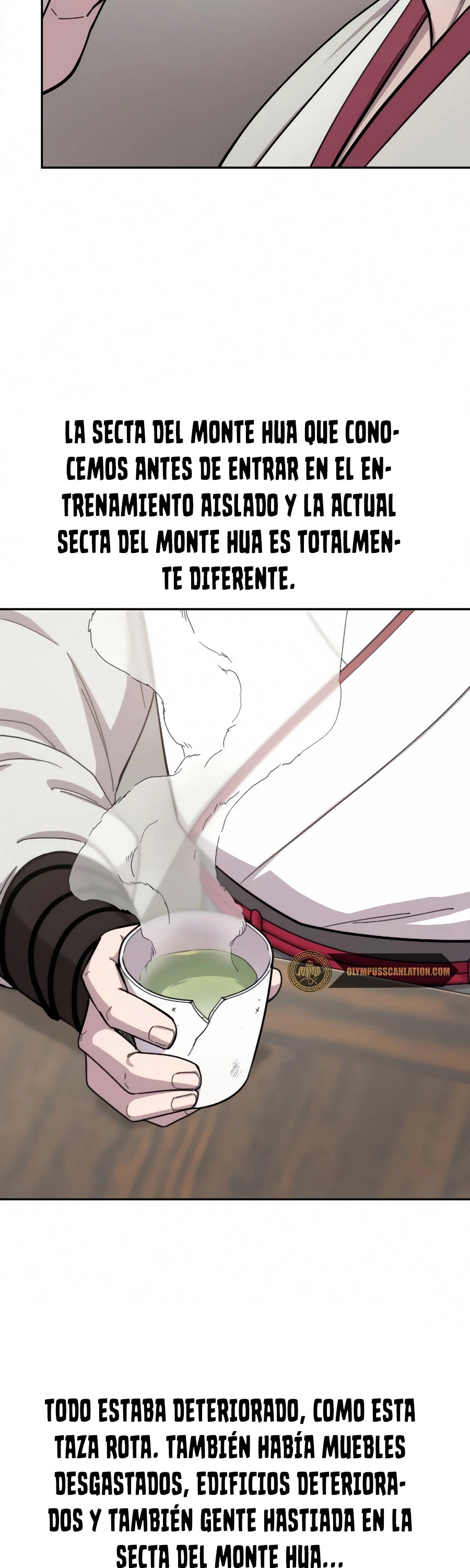 Secta de la montaña > Capitulo 43 > Page 611