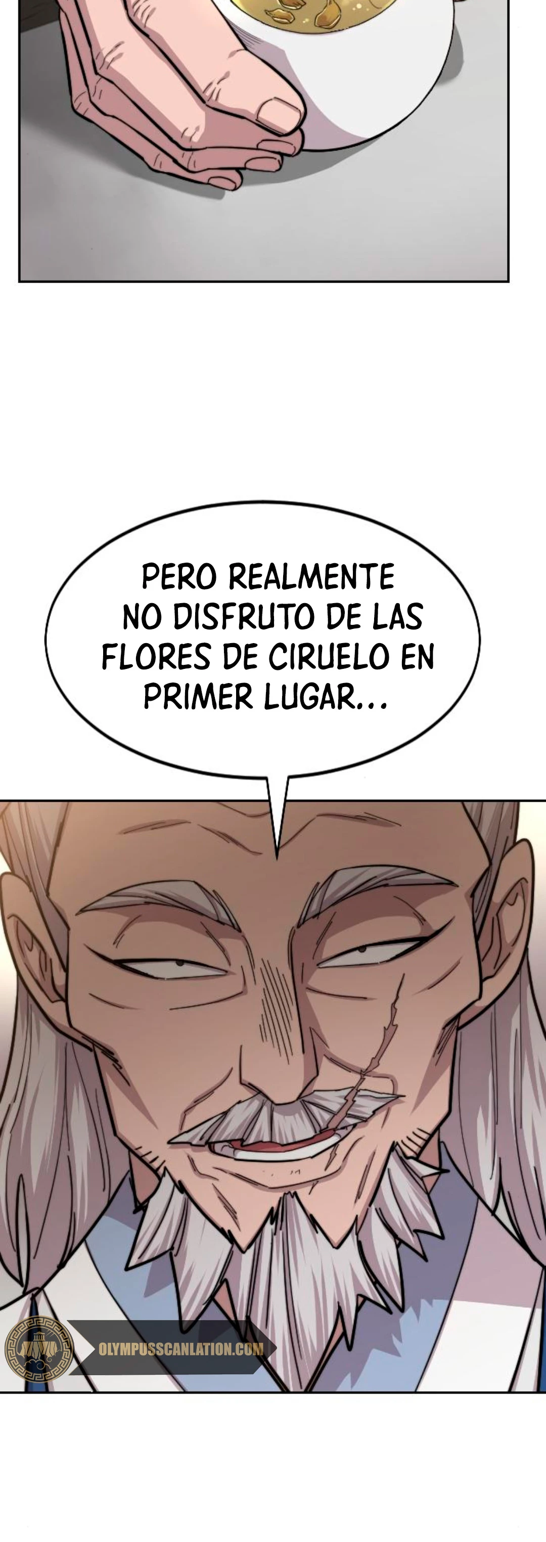 Secta de la montaña > Capitulo 55 > Page 71