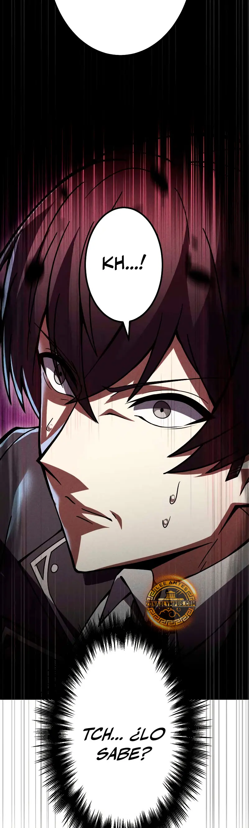 El Héroe Regresa a la Academia > Capitulo 24 > Page 311