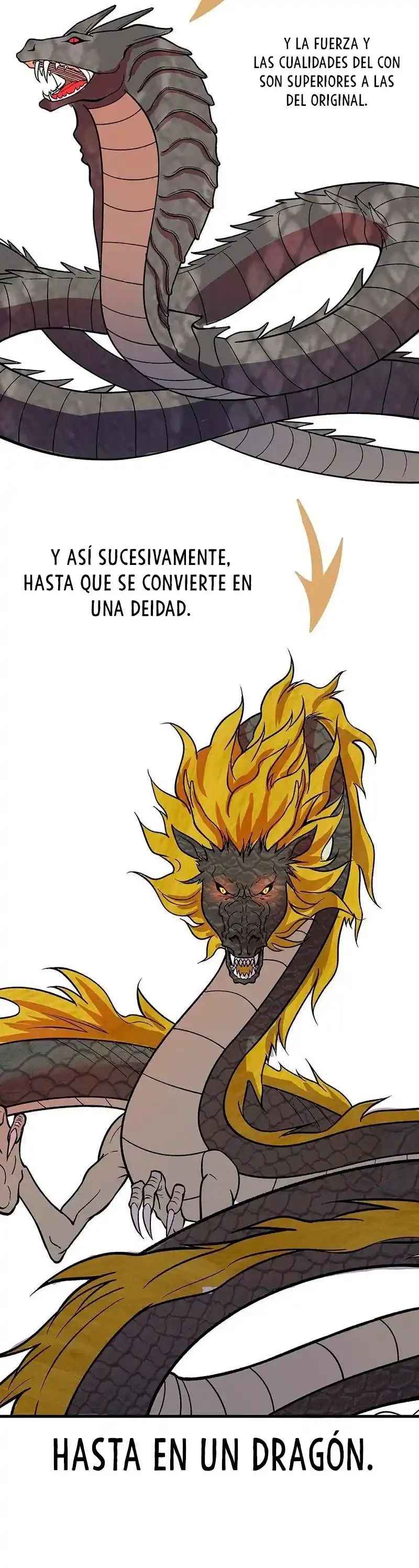 Reinado de las artes marciales > Capitulo 444 > Page 311