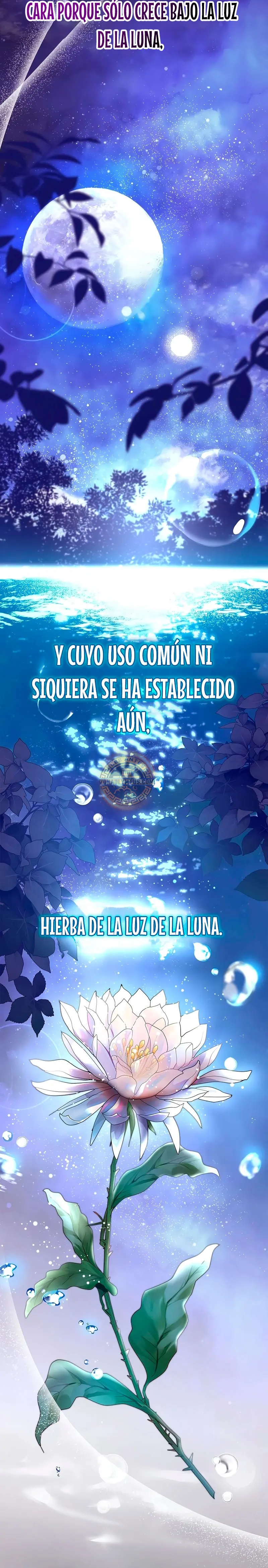 El Mercenario que Reencarno entre Aristócratas > Capitulo 4 > Page 241