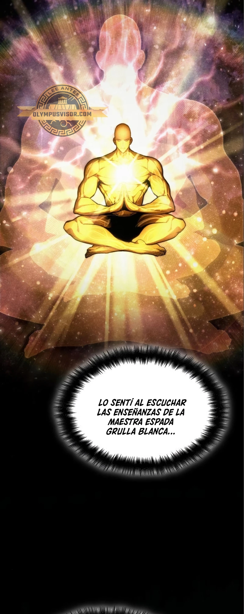 Nigromante sin limites > Capitulo 62 > Page 231