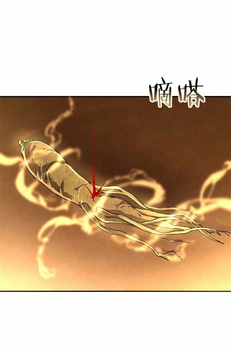 Peerless Battle Spirit  > Capitulo 106 > Page 261