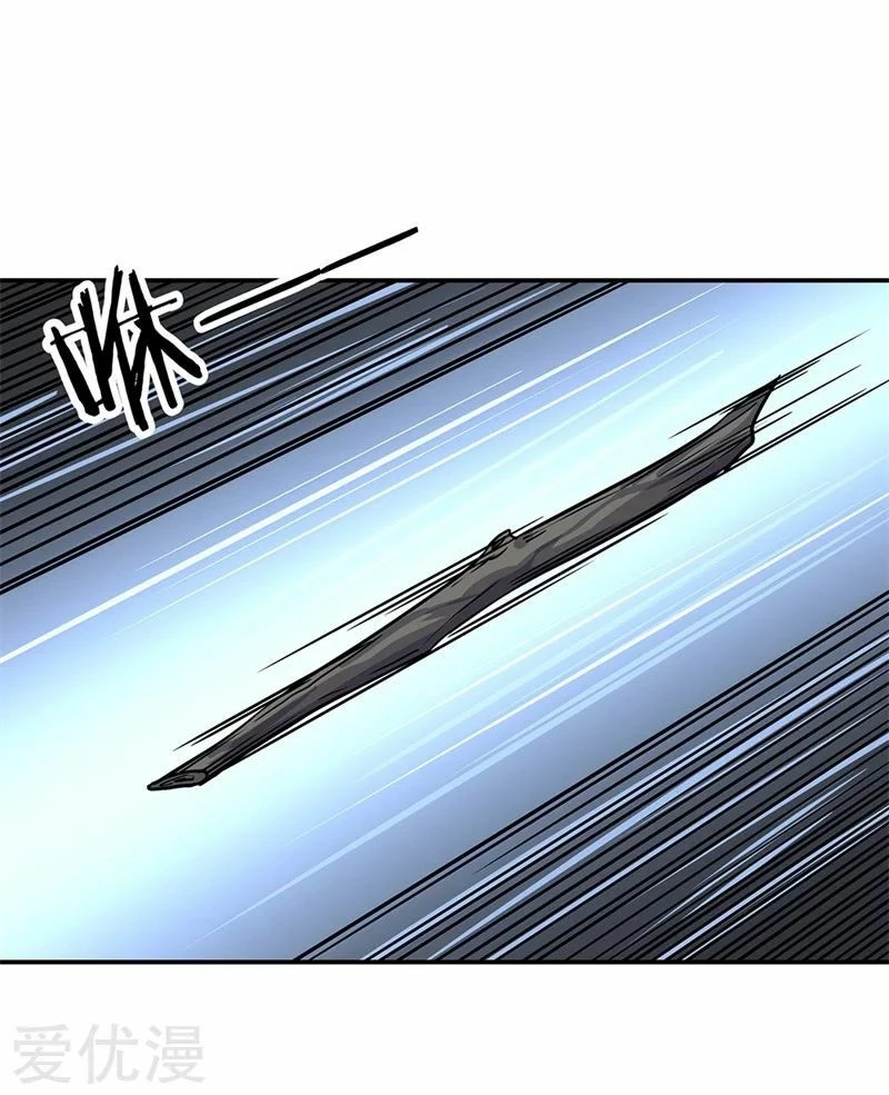Peerless Battle Spirit  > Capitulo 139 > Page 61