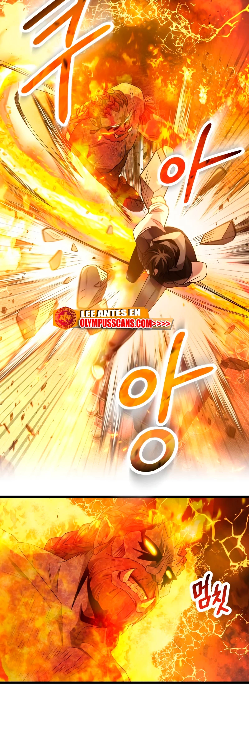 Item Chetado > Capitulo 47 > Page 291