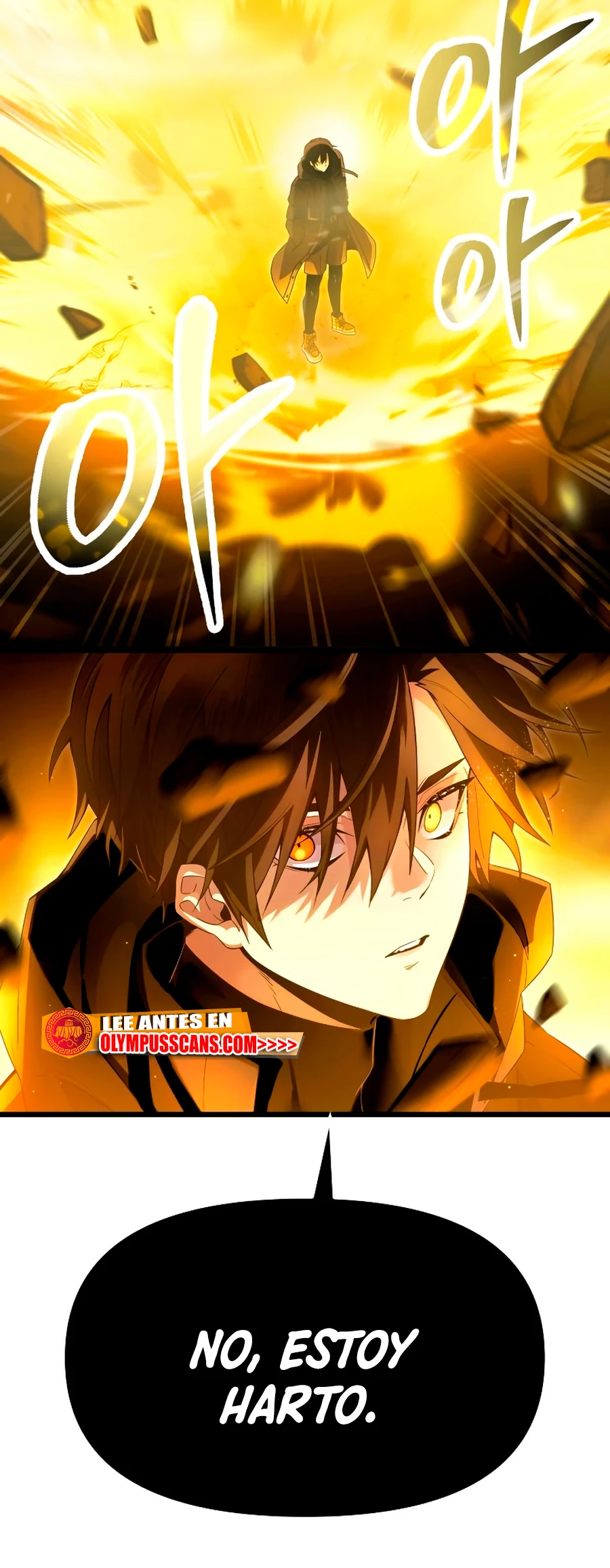 Item Chetado > Capitulo 62 > Page 181