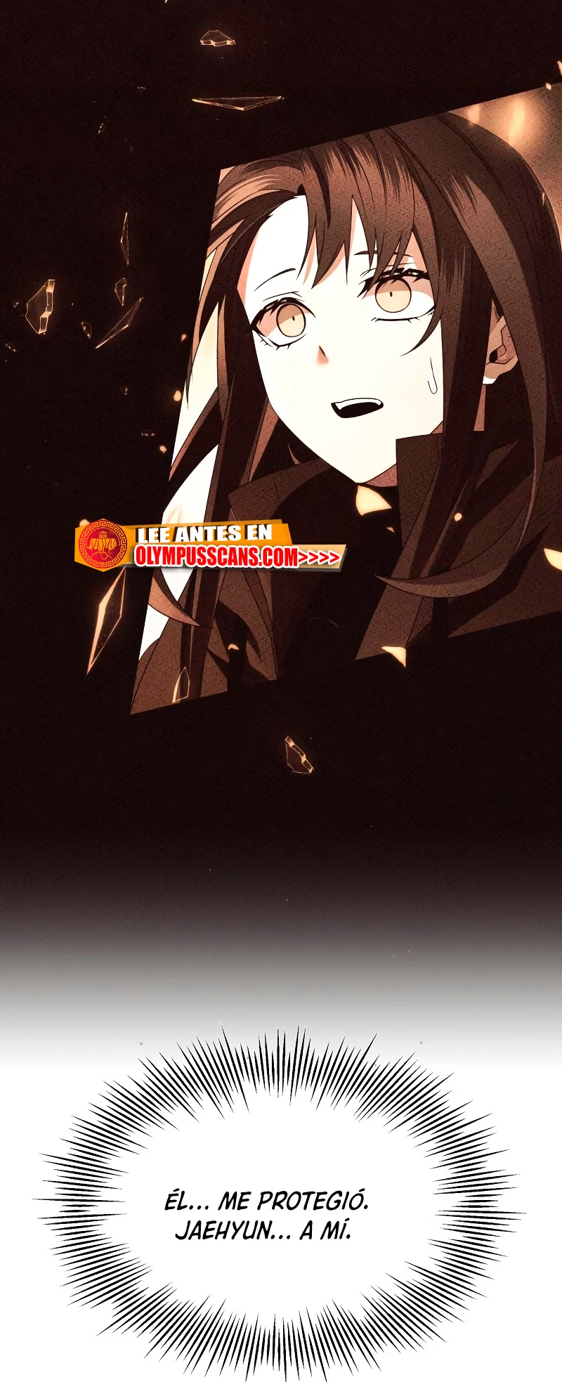 Item Chetado > Capitulo 65 > Page 211