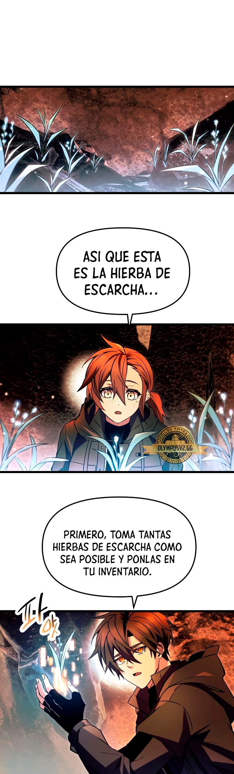 Item Chetado > Capitulo 70 > Page 161