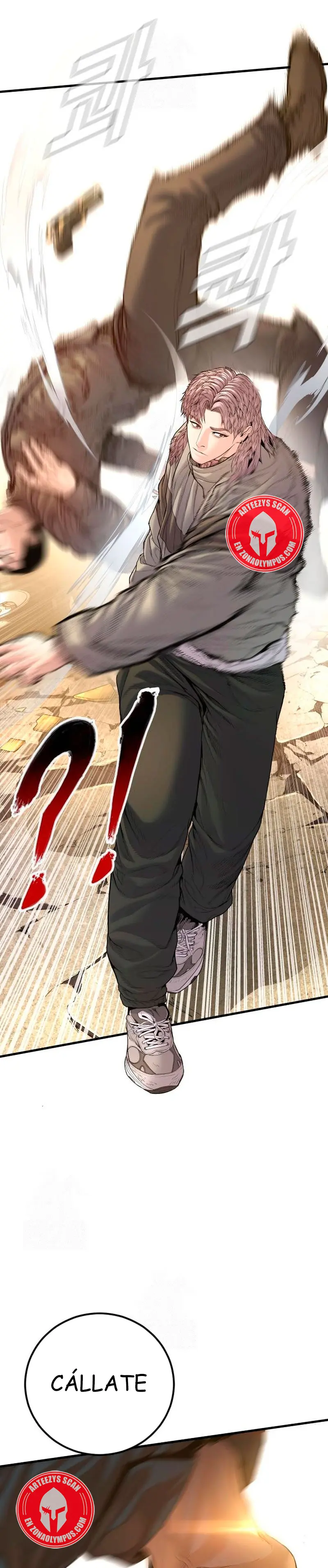 Lider Kim > Capitulo 209 > Page 491