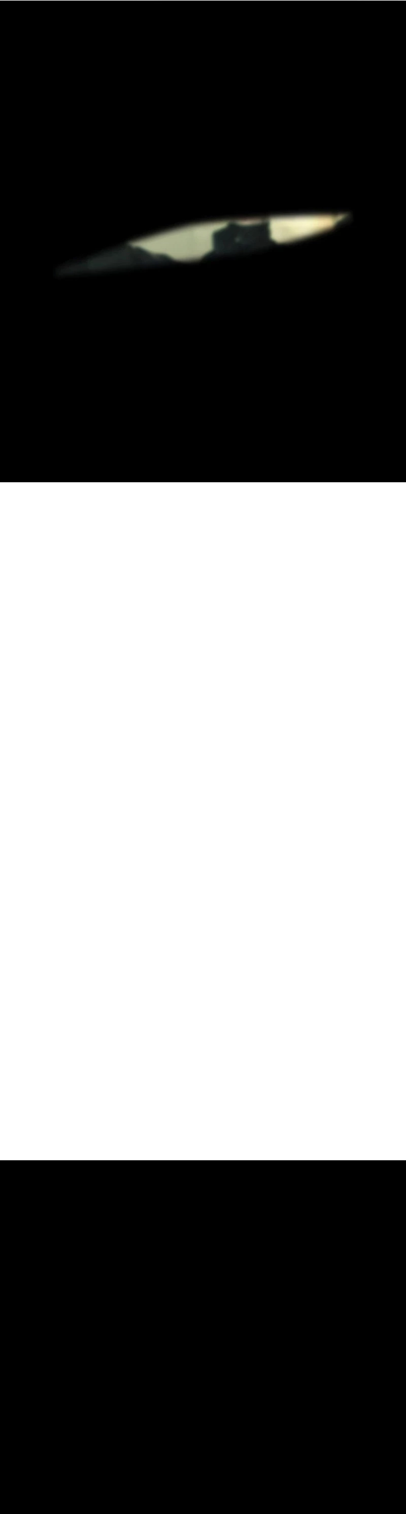 Lider Kim > Capitulo 75 > Page 31