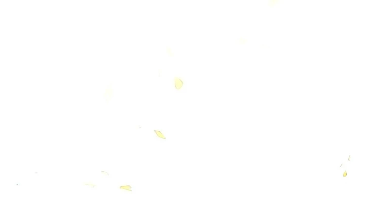 Soldado Esqueleto > Capitulo 188 > Page 261