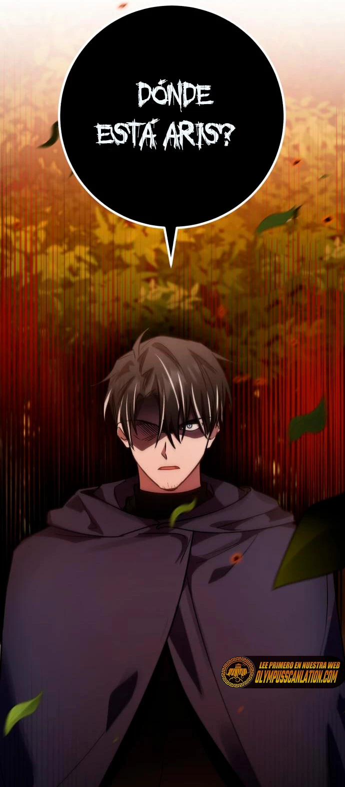 El Héroe, El Rey Demonio y El Villano > Capitulo 24 > Page 431