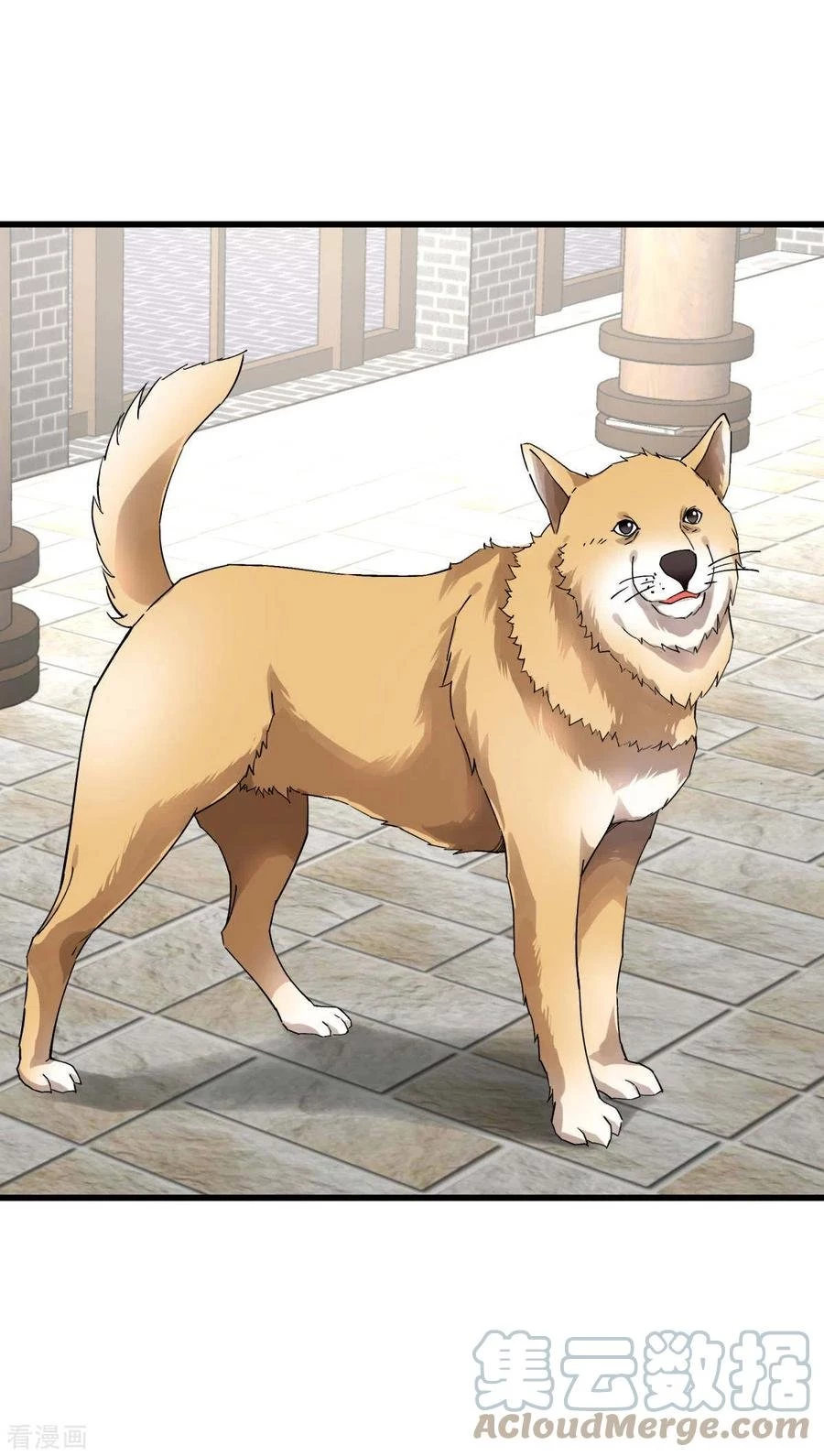 Renacimiento del Gran Dios > Capitulo 146 > Page 261