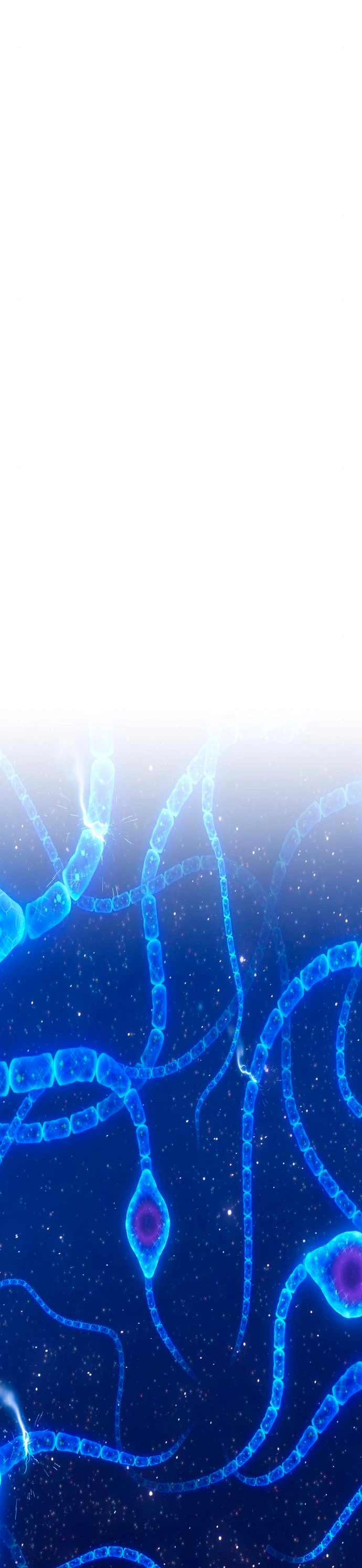 Palo De Madera > Capitulo 64 > Page 791