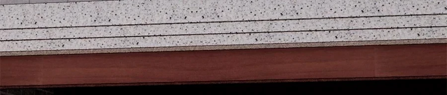 La secta más fuerte de todos los tiempos > Capitulo 157 > Page 1561