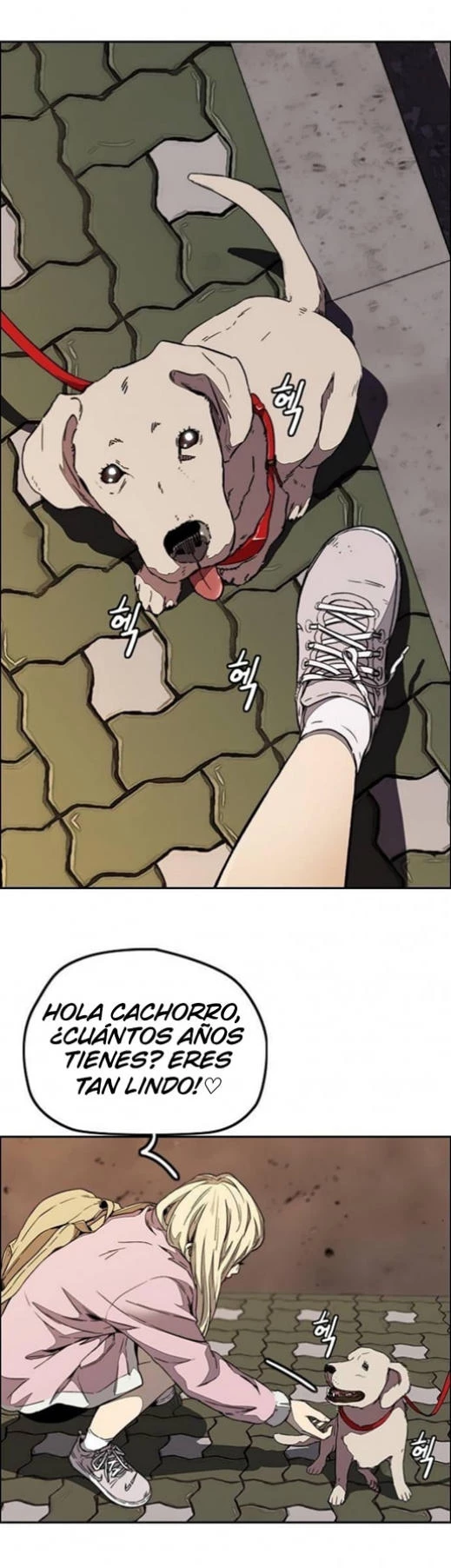 RompeVientos > Capitulo 355 > Page 241