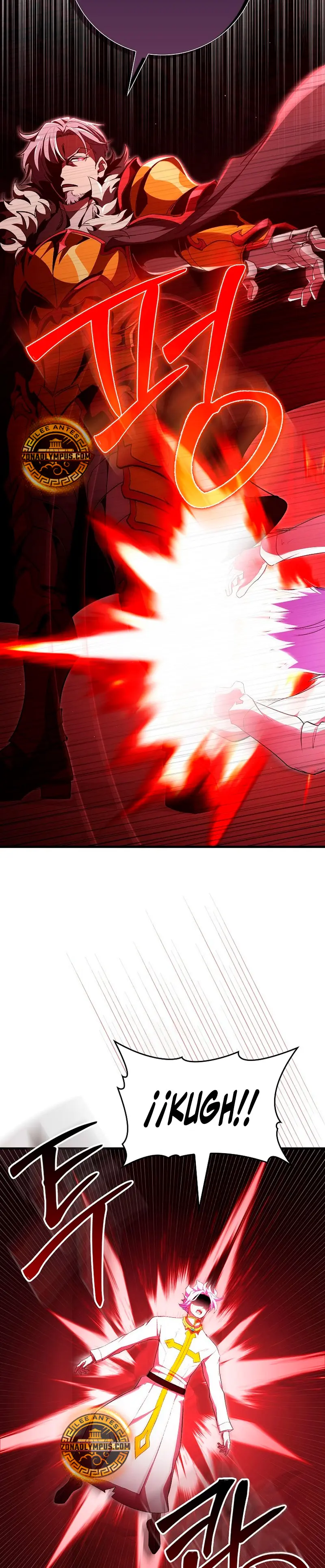 Jugador de nivel máximo > Capitulo 129 > Page 41