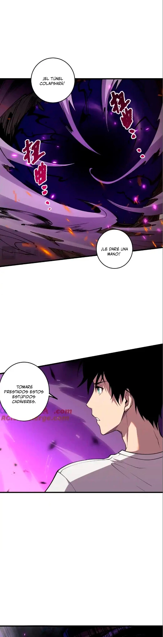 ¡Nigromante¡, ¡Yo soy la plaga! > Capitulo 63 > Page 261