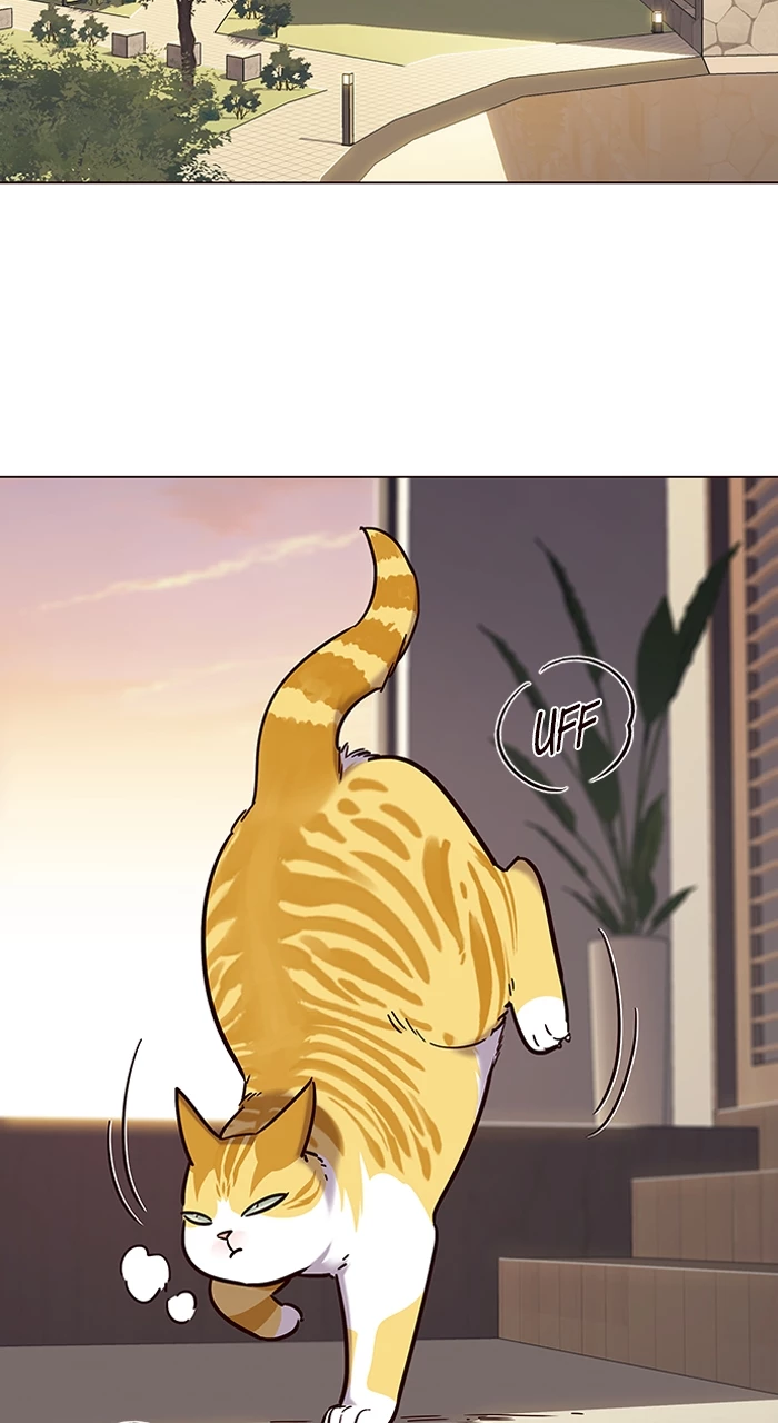 Rayito  > Capitulo 94 > Page 171