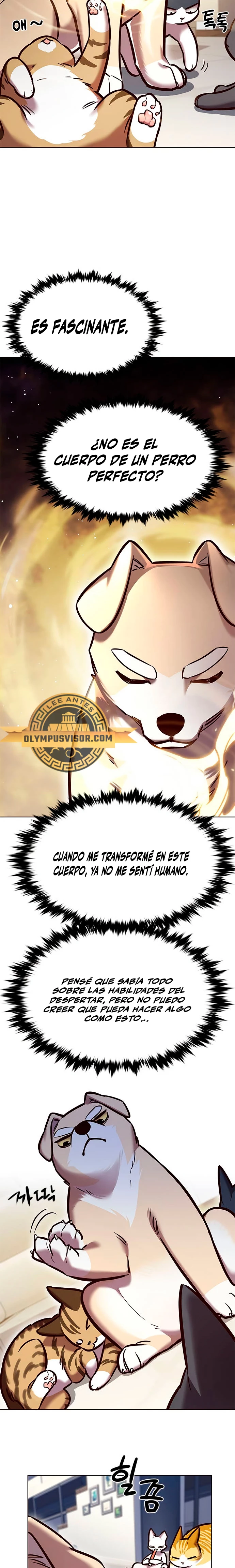 Rayito  > Capitulo 280 > Page 21