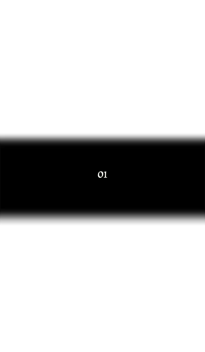 El irregular > Capitulo 53 > Page 61