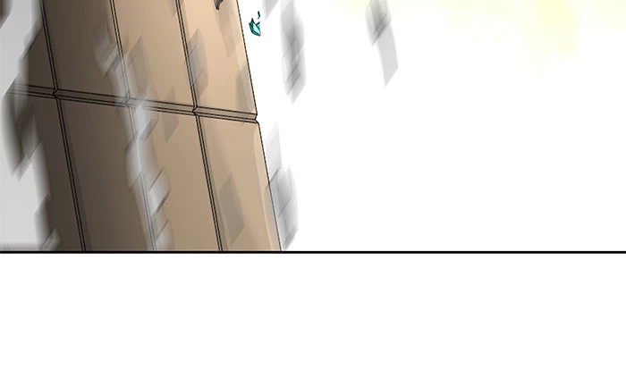 El irregular > Capitulo 484 > Page 261