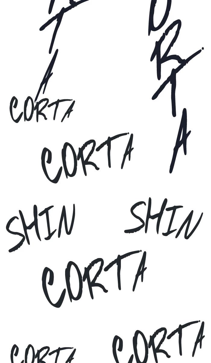 El irregular > Capitulo 488 > Page 381