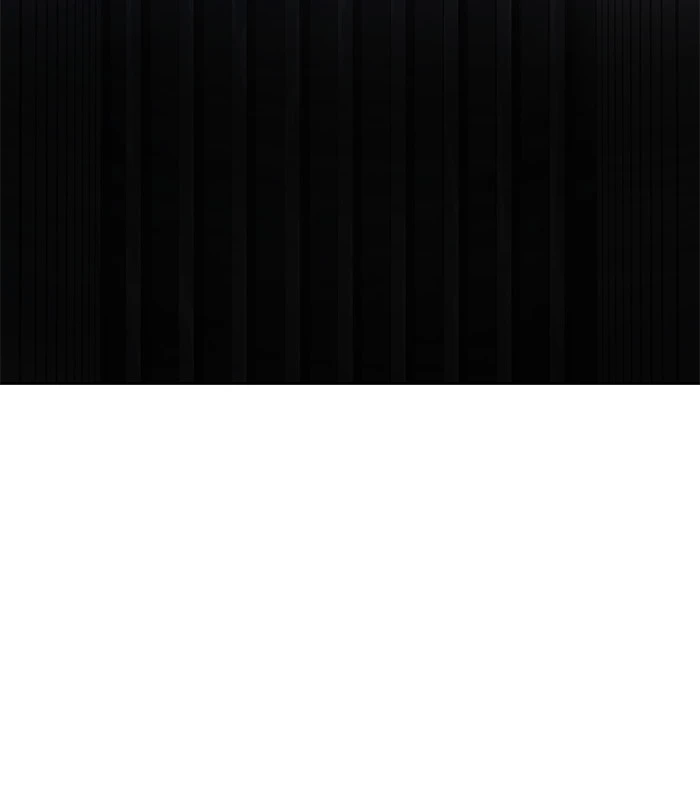 El irregular > Capitulo 488 > Page 651