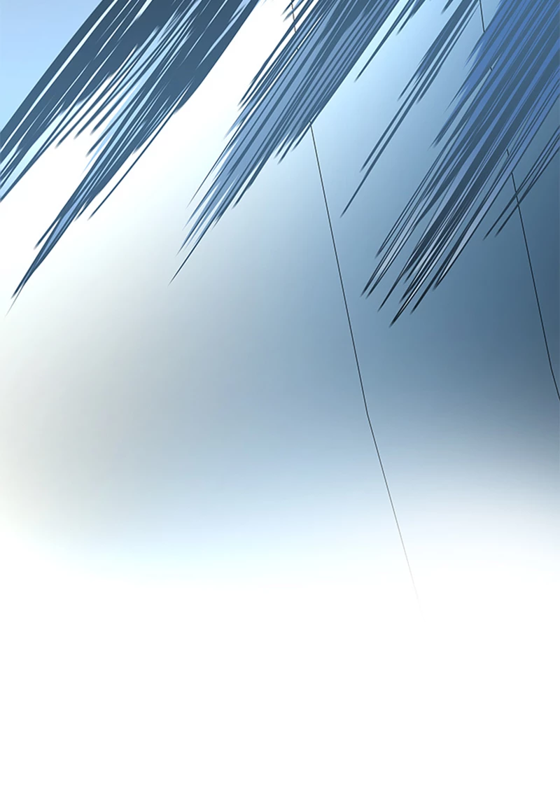 El irregular > Capitulo 506 > Page 501