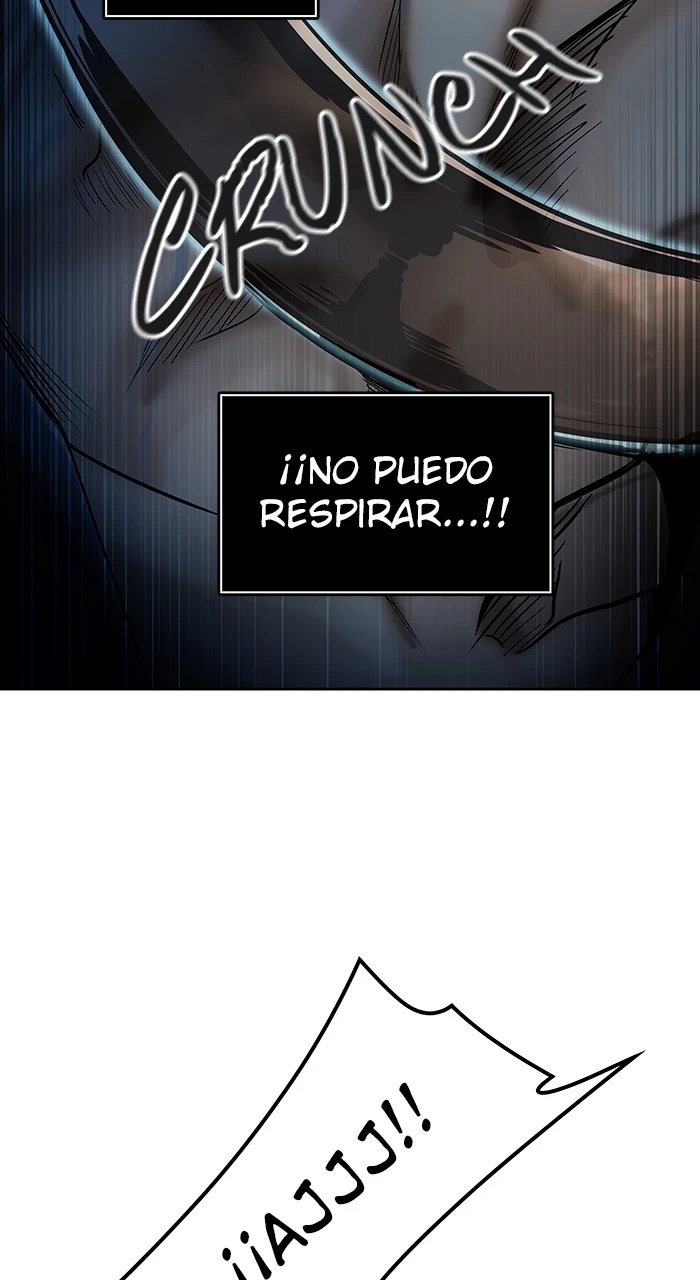 El irregular > Capitulo 525 > Page 521