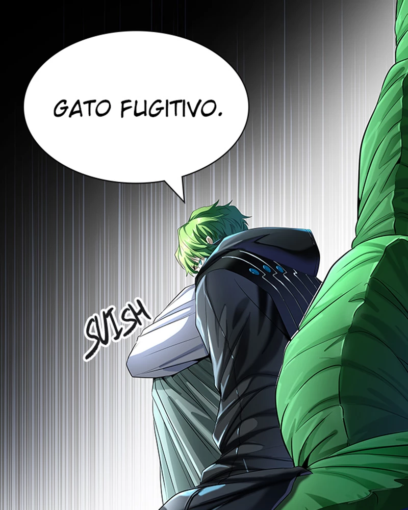 El irregular > Capitulo 533 > Page 531