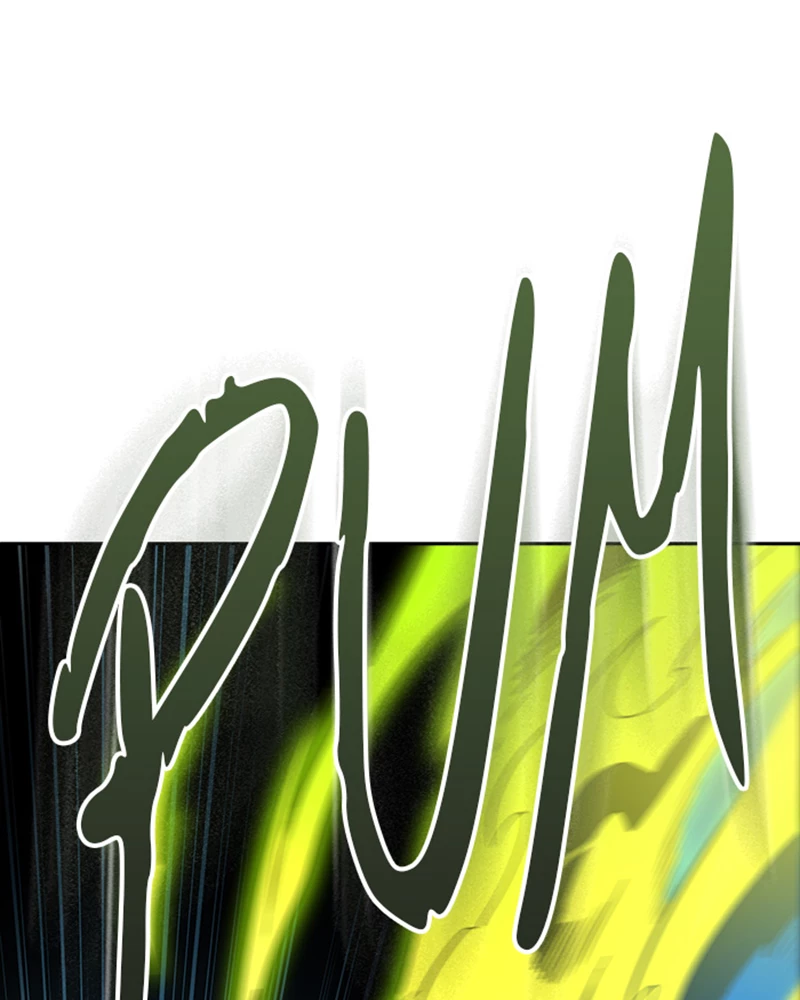 El irregular > Capitulo 538 > Page 991