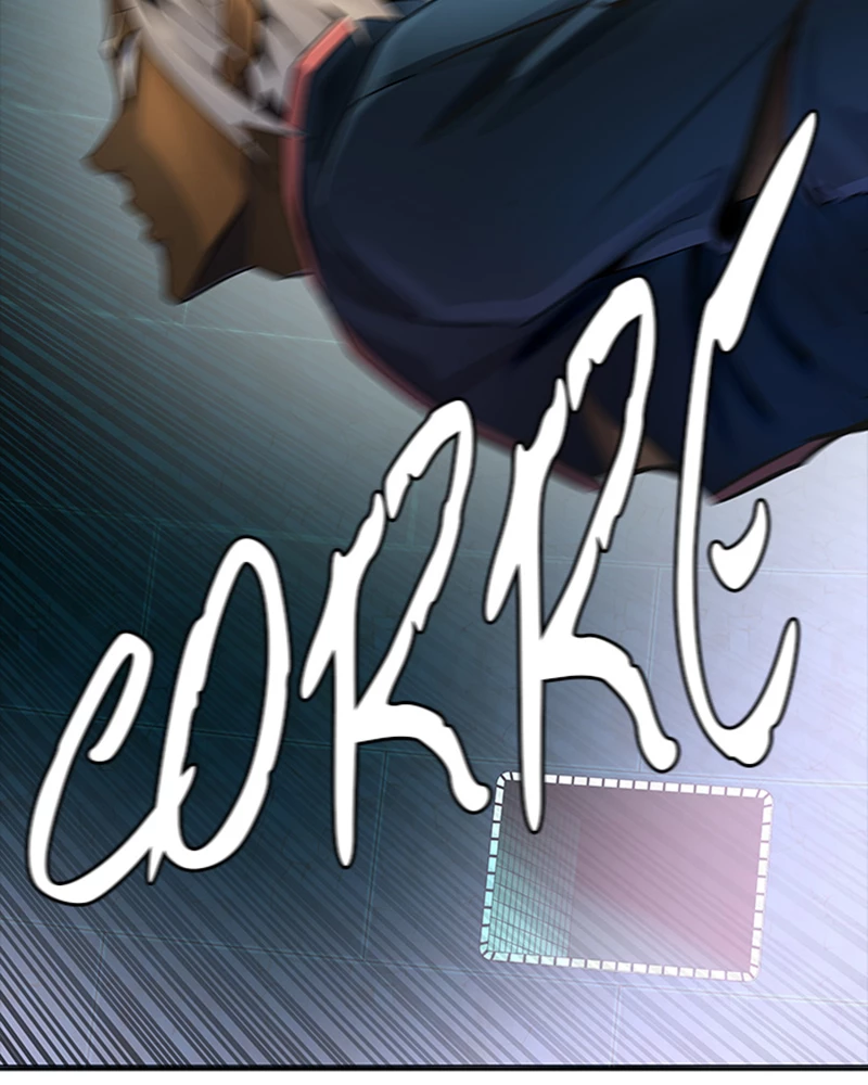 El irregular > Capitulo 540 > Page 291