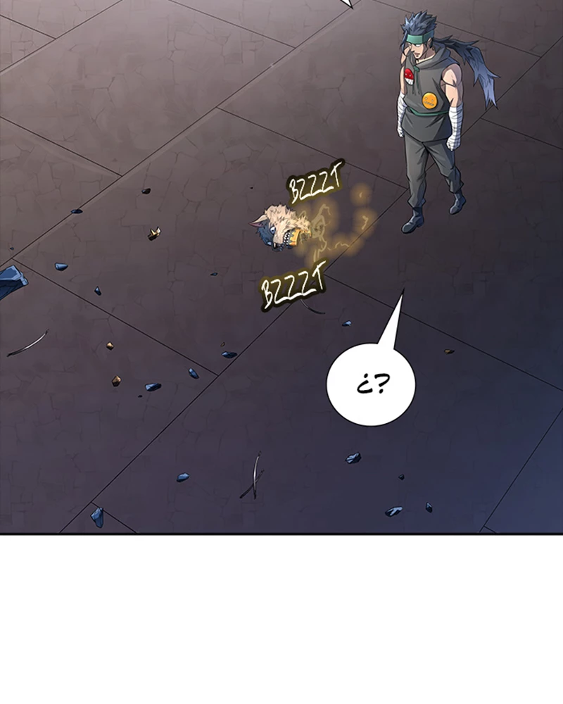 El irregular > Capitulo 541 > Page 891