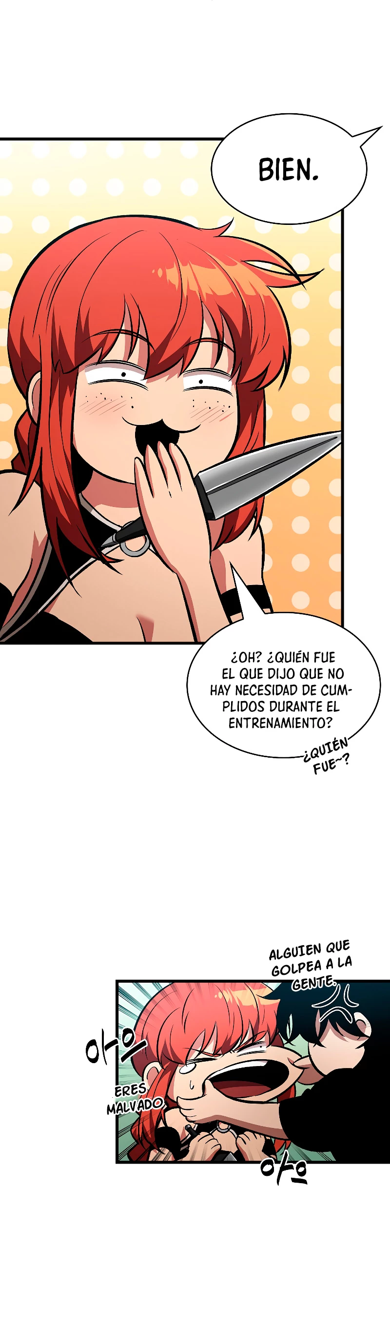 Página 17