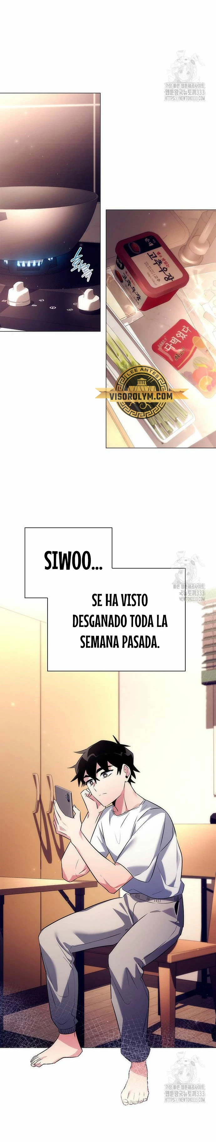 Página 19